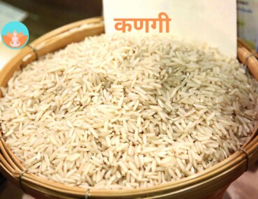 कणगी